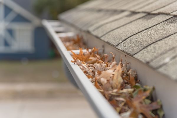 Leaf Barrier Installation in Battle Ground